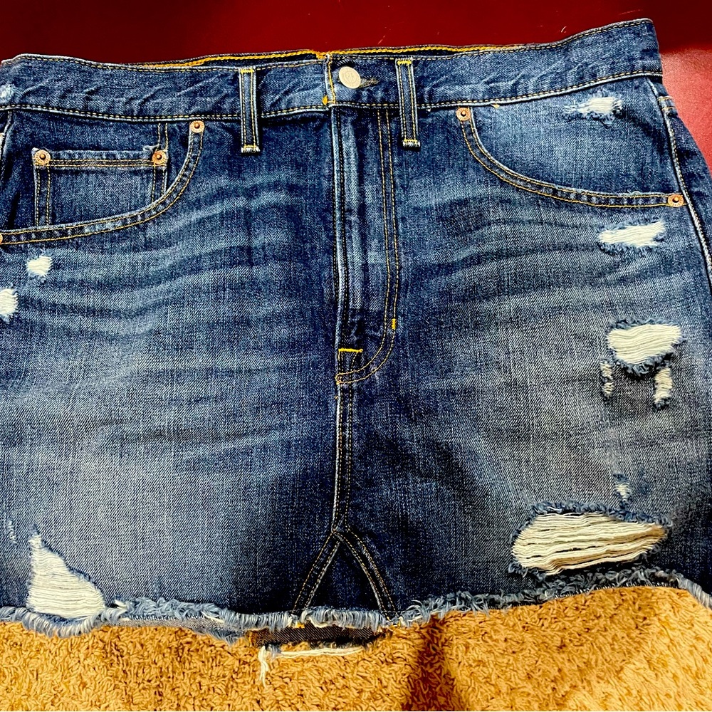 Frye Skirt Distressed 15” length